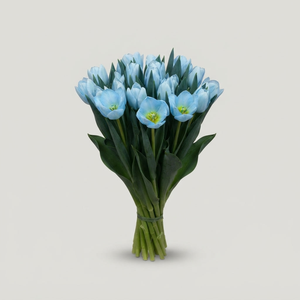 FeedSync:wholesale:238e1176adcb7d3970e582047a1c571f71be5edb