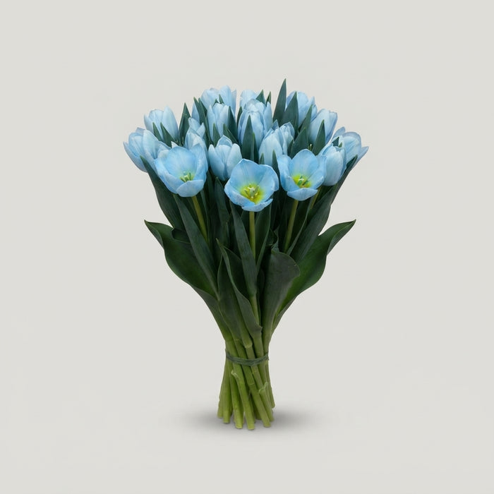 FeedSync:wholesale:238e1176adcb7d3970e582047a1c571f71be5edb