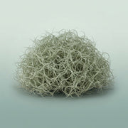 FeedSync:wholesale:8ae701520ca499017b12a4241dc182e23b9f2dfb