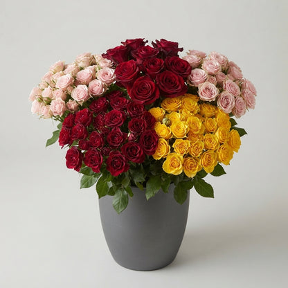 FeedSync:wholesale:ae5184ff9b3abd0721ab1b14a1572f81120c4374