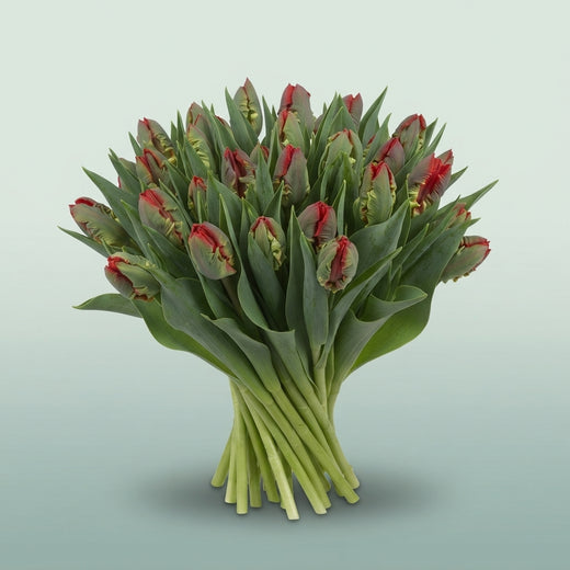 FeedSync:wholesale:a9f163948bf45890ed318d29b36a05b68bdbe4fd