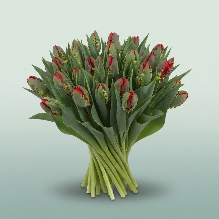 FeedSync:wholesale:a9f163948bf45890ed318d29b36a05b68bdbe4fd
