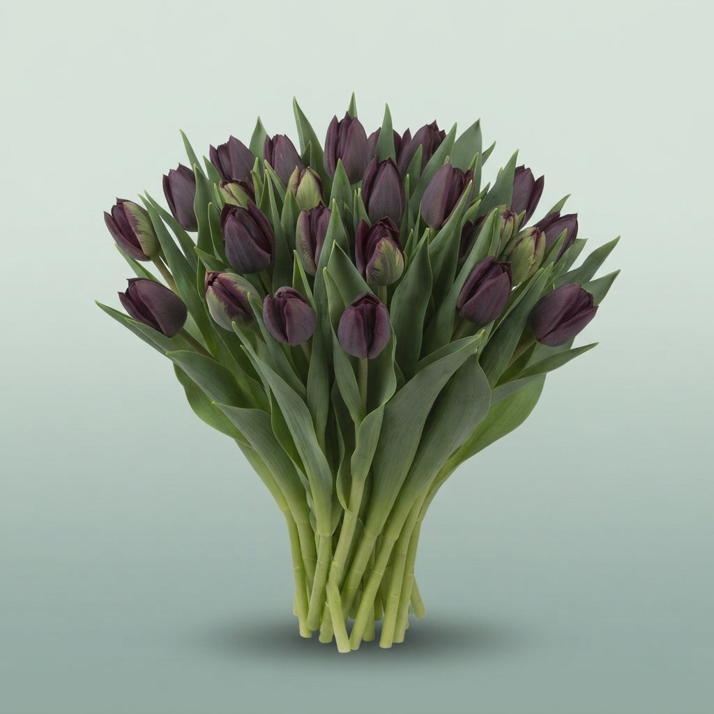 FeedSync:wholesale:c1e6b60df083c767865b8cc511e1f8575e229f86