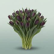 FeedSync:wholesale:c1e6b60df083c767865b8cc511e1f8575e229f86