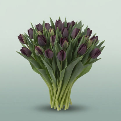 FeedSync:wholesale:c1e6b60df083c767865b8cc511e1f8575e229f86