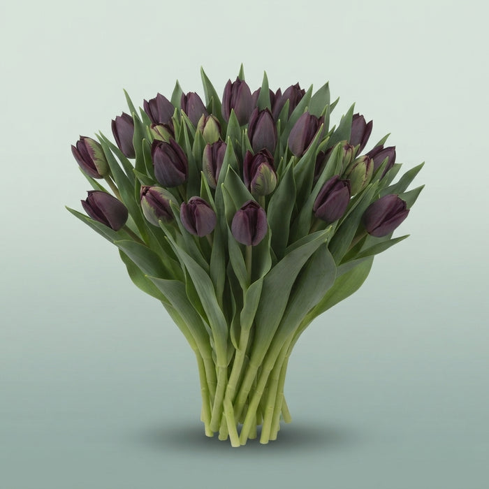 FeedSync:wholesale:c1e6b60df083c767865b8cc511e1f8575e229f86