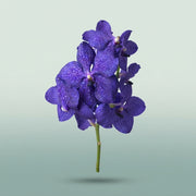 FeedSync:wholesale:49ba74588f753f23775680df5df76e19feae4604