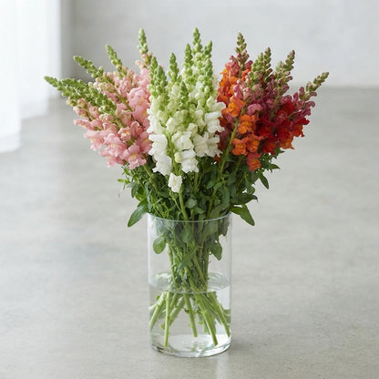 FeedSync:wholesale:10fc26bb0a0e2f5286f6658218b9975cda053479