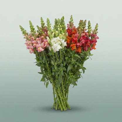 FeedSync:wholesale:90cddaaeeb991b21210e908a6796fc573b7799c4
