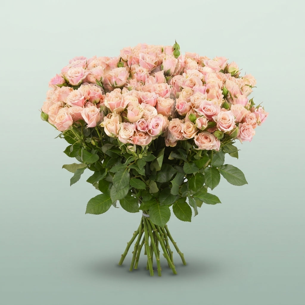 FeedSync:wholesale:6ac5dadb00c3e500193affefdf54e8d937917c3e