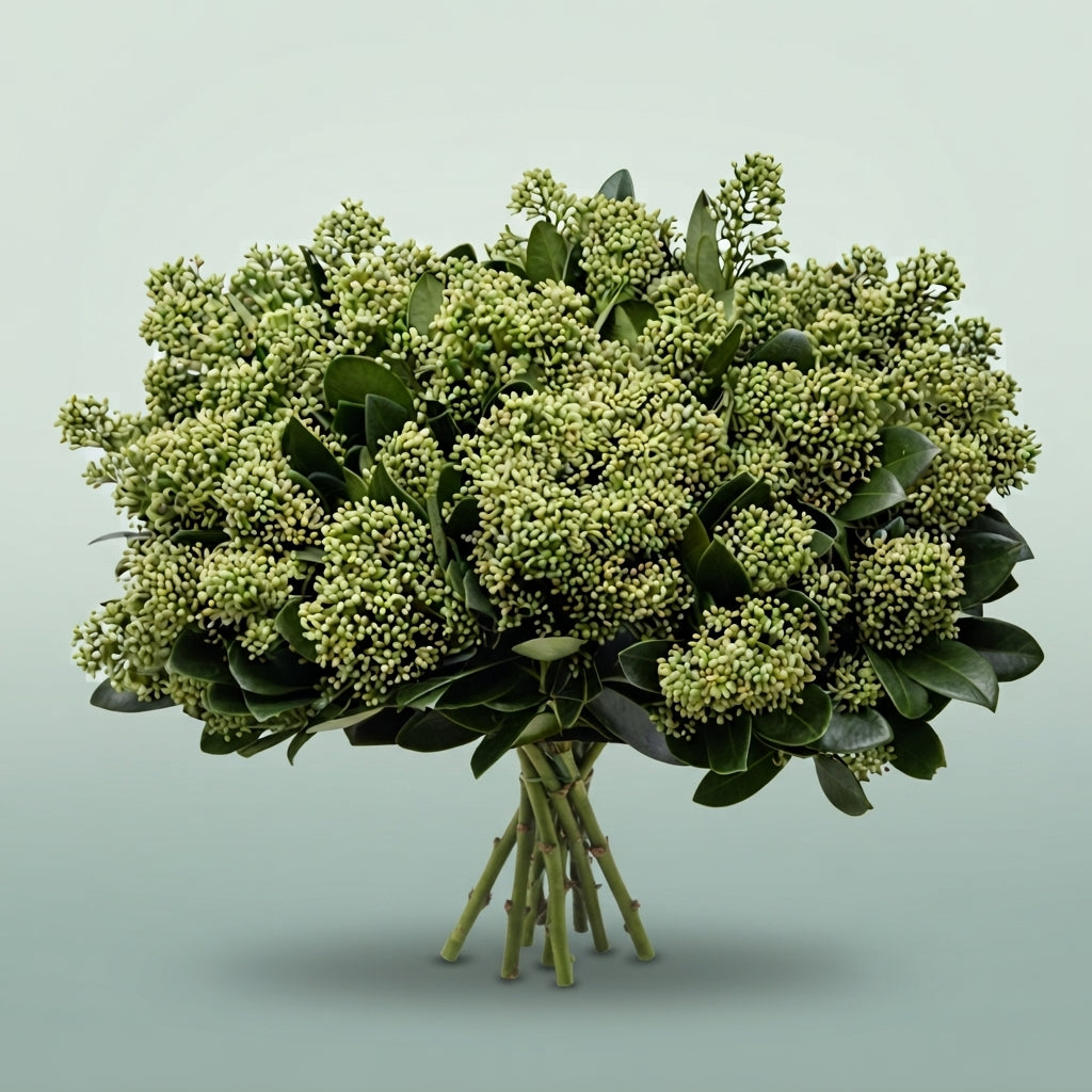 FeedSync:wholesale:176b1cab162bd30d403b3f2a597411d652a2a560