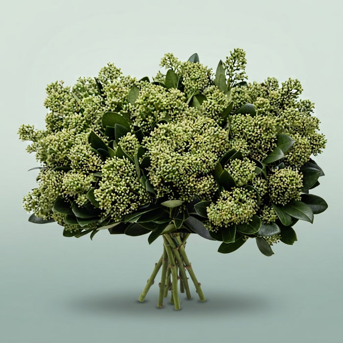 FeedSync:wholesale:176b1cab162bd30d403b3f2a597411d652a2a560