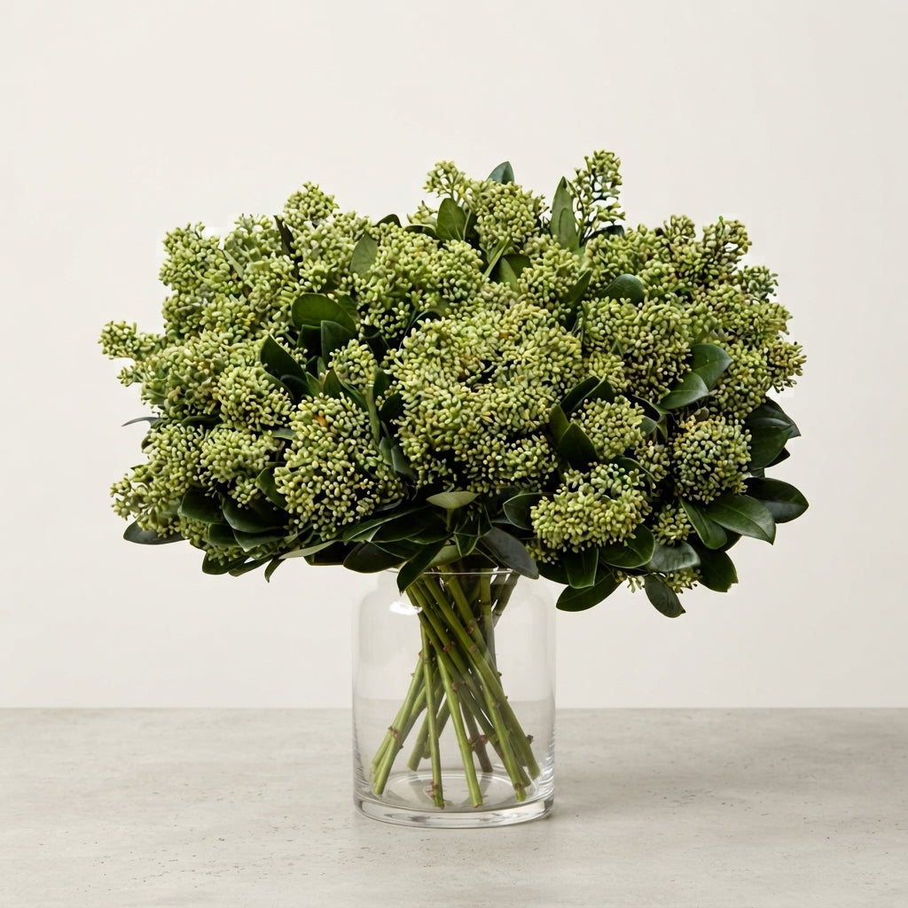 FeedSync:wholesale:b7c8b4195f5d59405c0cd0f23dcef0f6c1dda814