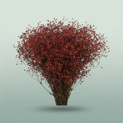 FeedSync:wholesale:ef2f27fc5e5f0a3c8fb5cf265c1c228c2f577050