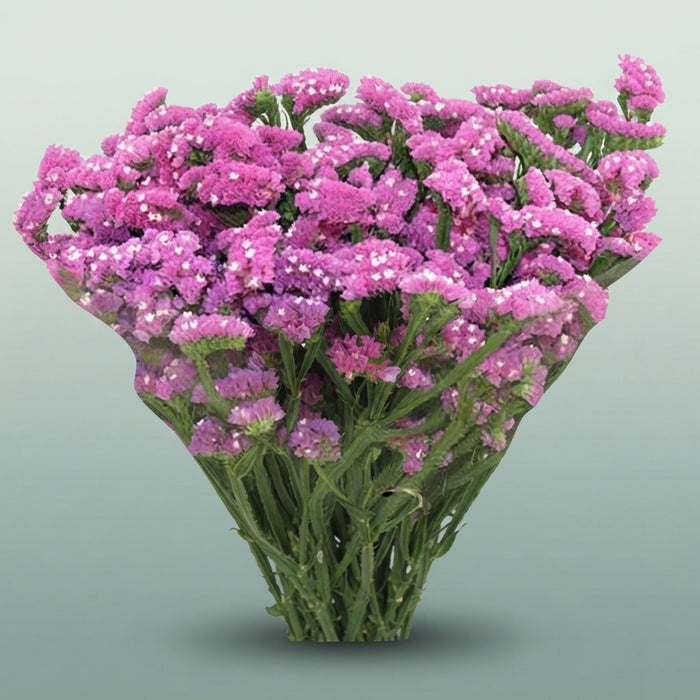 FeedSync:wholesale:ad0269b376726b03b3c4a758ba462d8c5ecd8a88