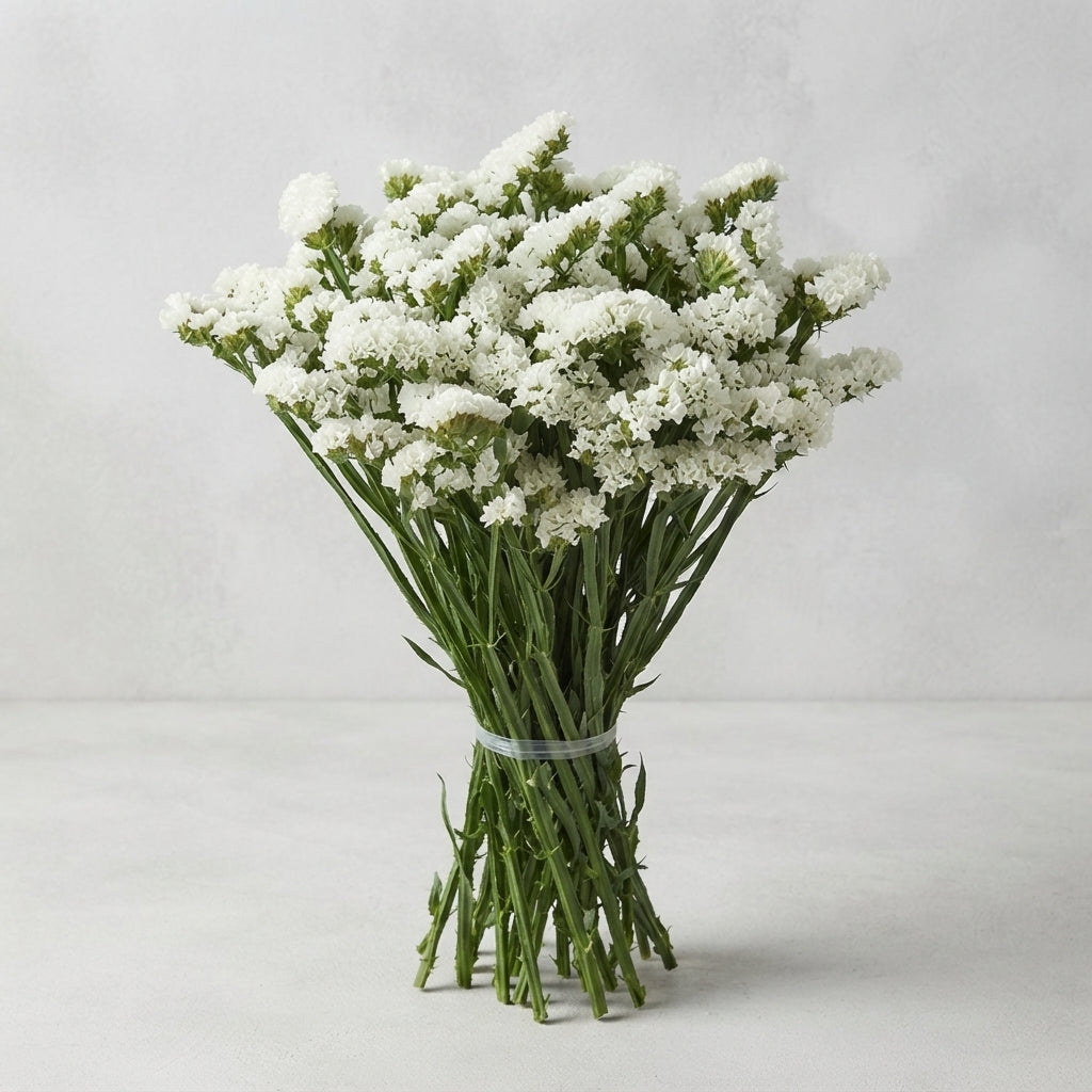 FeedSync:wholesale:722102415ccd368f31362b76350022dd85d70062