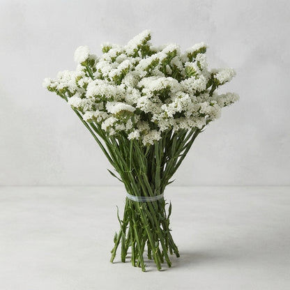 FeedSync:wholesale:722102415ccd368f31362b76350022dd85d70062