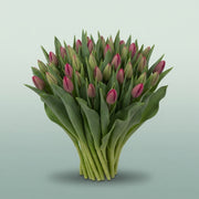 FeedSync:wholesale:d7ffd40fc0ddfa7d08ca9d2d1a699ab3f8a7a994