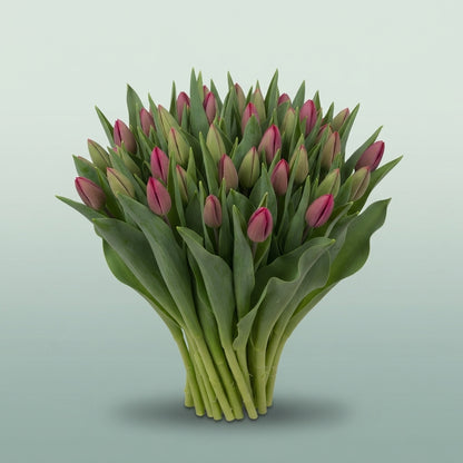 FeedSync:wholesale:d7ffd40fc0ddfa7d08ca9d2d1a699ab3f8a7a994