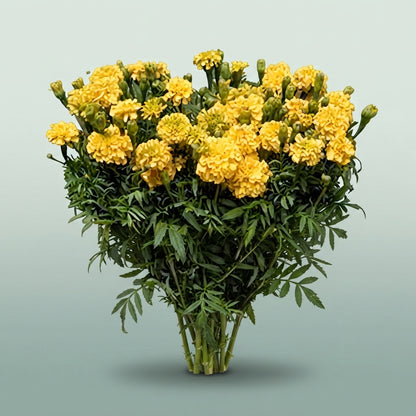 FeedSync:wholesale:65560551524e1eed832d087b467c26f6295268e2