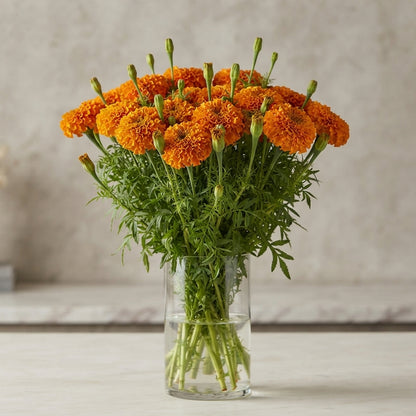 FeedSync:wholesale:00feaf837875321e5f4be5a2ac2ef9285e23d72d