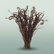 FeedSync:wholesale:f34c82b044988533404c368c16238d715284a96a