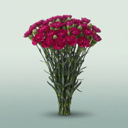 FeedSync:wholesale:f44e7872b75b671b123af66dffbb0d7b8a2203c5