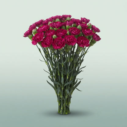 FeedSync:wholesale:f44e7872b75b671b123af66dffbb0d7b8a2203c5