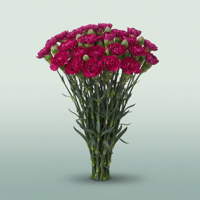 FeedSync:wholesale:f44e7872b75b671b123af66dffbb0d7b8a2203c5