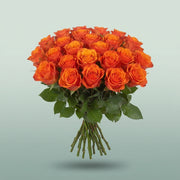 FeedSync:wholesale:12673cf61ab809dc00d86650d35cff1a75d8e8ef