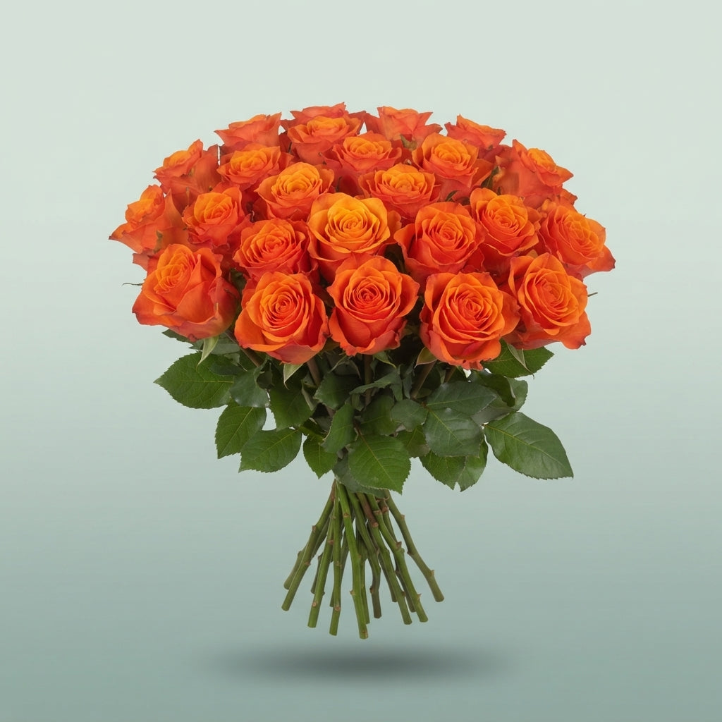 FeedSync:wholesale:12673cf61ab809dc00d86650d35cff1a75d8e8ef