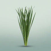FeedSync:wholesale:4789970ed76b6e3d88f8048b32a7b68b2746d4be