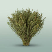 FeedSync:wholesale:4d06836b720a4eaefa5809e22ec05f1cad5b461b