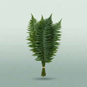 FeedSync:wholesale:ac0fce53a0bda786e58bc759f722ddfed764c90f