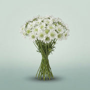 FeedSync:wholesale:374950c01220e1bb69ccbab74116803ac087022d