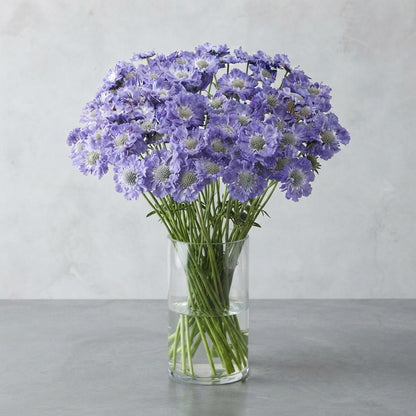 FeedSync:wholesale:dd496f1b0be60ea867cff117495b533249da9cac