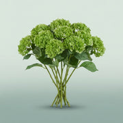 FeedSync:wholesale:feee67b2b1b3fb44fb22864c169e10d636caf720