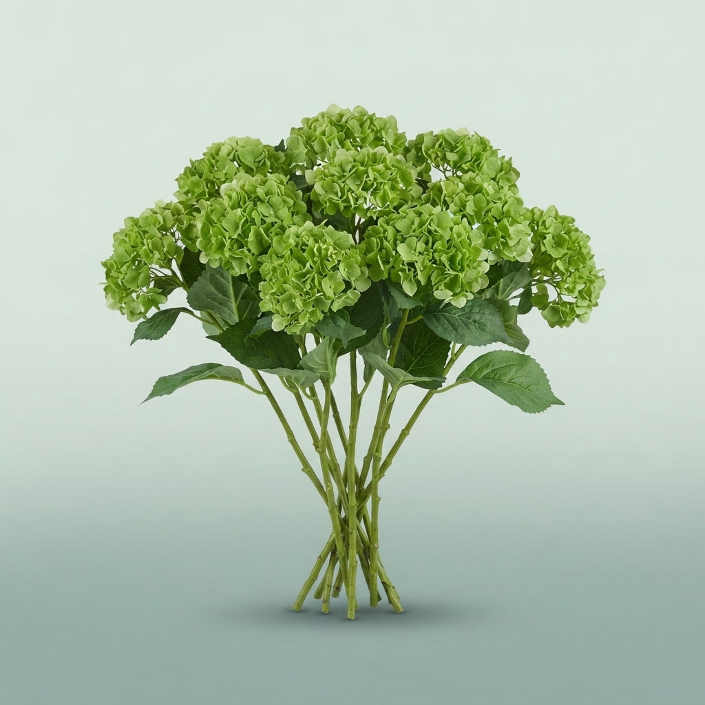 FeedSync:wholesale:feee67b2b1b3fb44fb22864c169e10d636caf720