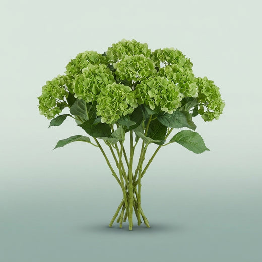 FeedSync:wholesale:feee67b2b1b3fb44fb22864c169e10d636caf720