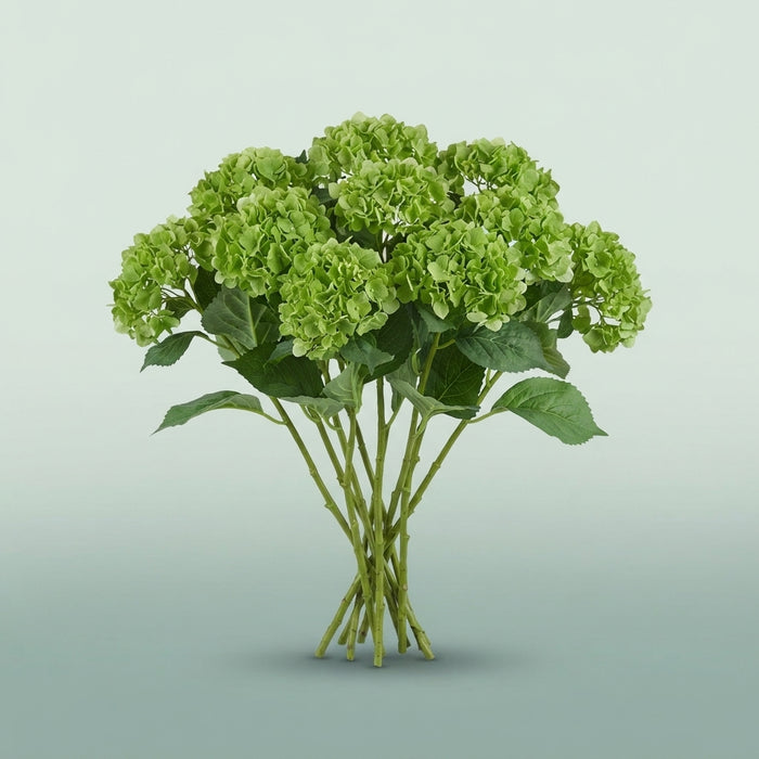 FeedSync:wholesale:feee67b2b1b3fb44fb22864c169e10d636caf720