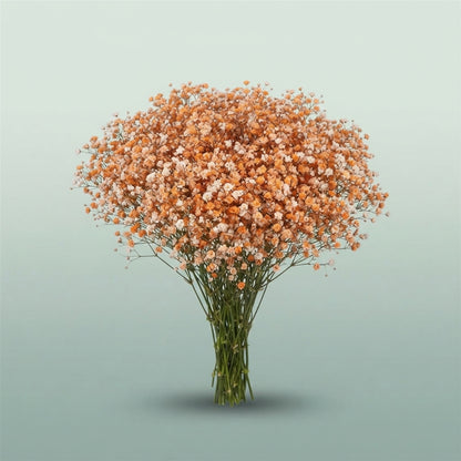 FeedSync:wholesale:24b90258671db67c35f4b719cffda6941b4094d5