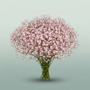 FeedSync:wholesale:24d09f4523362656ec15cbf1b09633870719e9dd