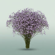 FeedSync:wholesale:e2d0b2bff023e8a1aa8ccc0a7474df6cd6e9859f
