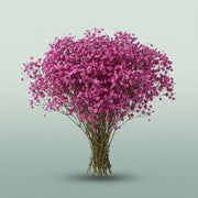 FeedSync:wholesale:a170fa3b106587542eefe28bfd1739ba6091a499