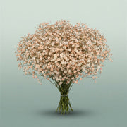 FeedSync:wholesale:670b7b69aefc9b2277782f13362d8b86964da72c