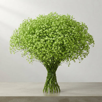 FeedSync:wholesale:c6ea4d0198c72a451b72c931fc29819a9757eceb