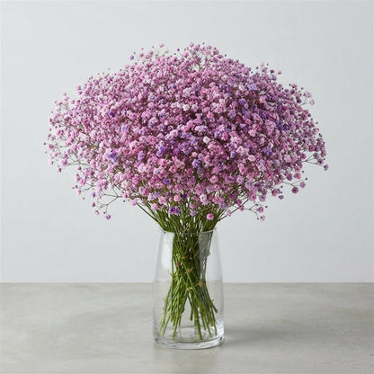 FeedSync:wholesale:7687e0a5a0e0c01714649862254bbec137ec1b24