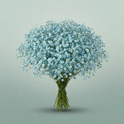 FeedSync:wholesale:a6b7c04a7e5252e2a679a2d51d9c53a2946439ca