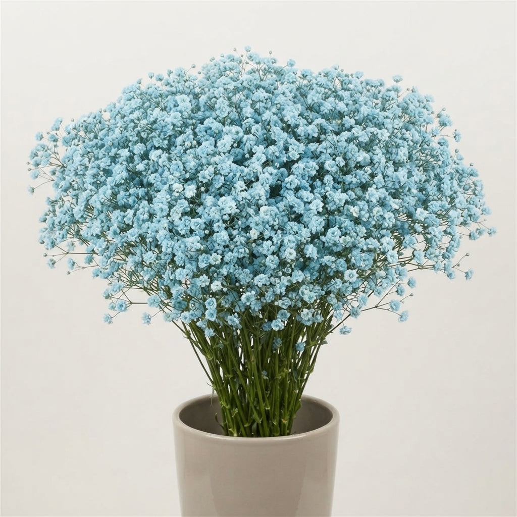 FeedSync:wholesale:dd3a57ad70eac1e28cff6a9a48c1aafc9f762e1d