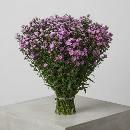 FeedSync:wholesale:bd0702ca022ba959aba9f5680829b98b7f99b620
